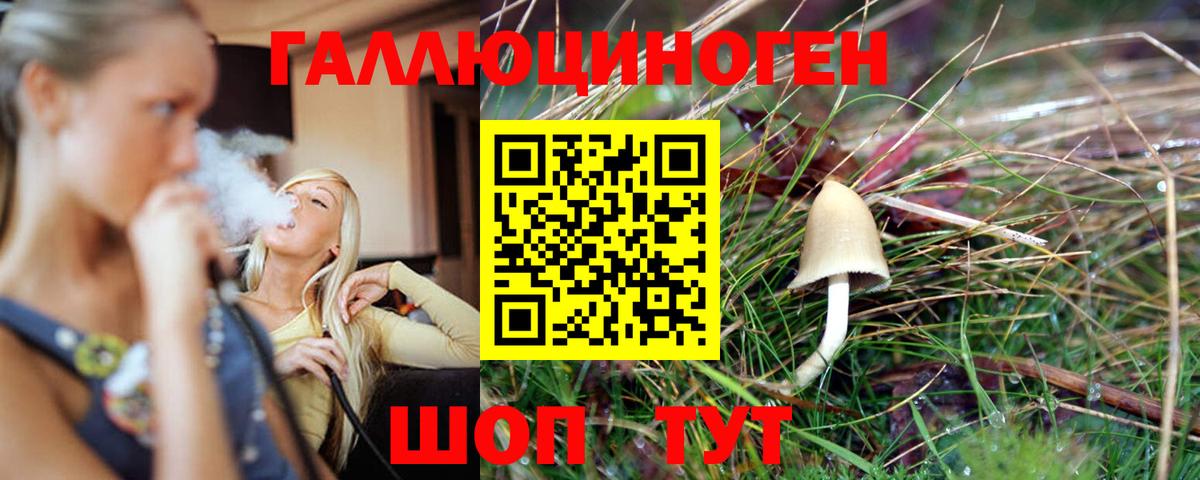 Галлюциногенные грибы мицелий Златоуст