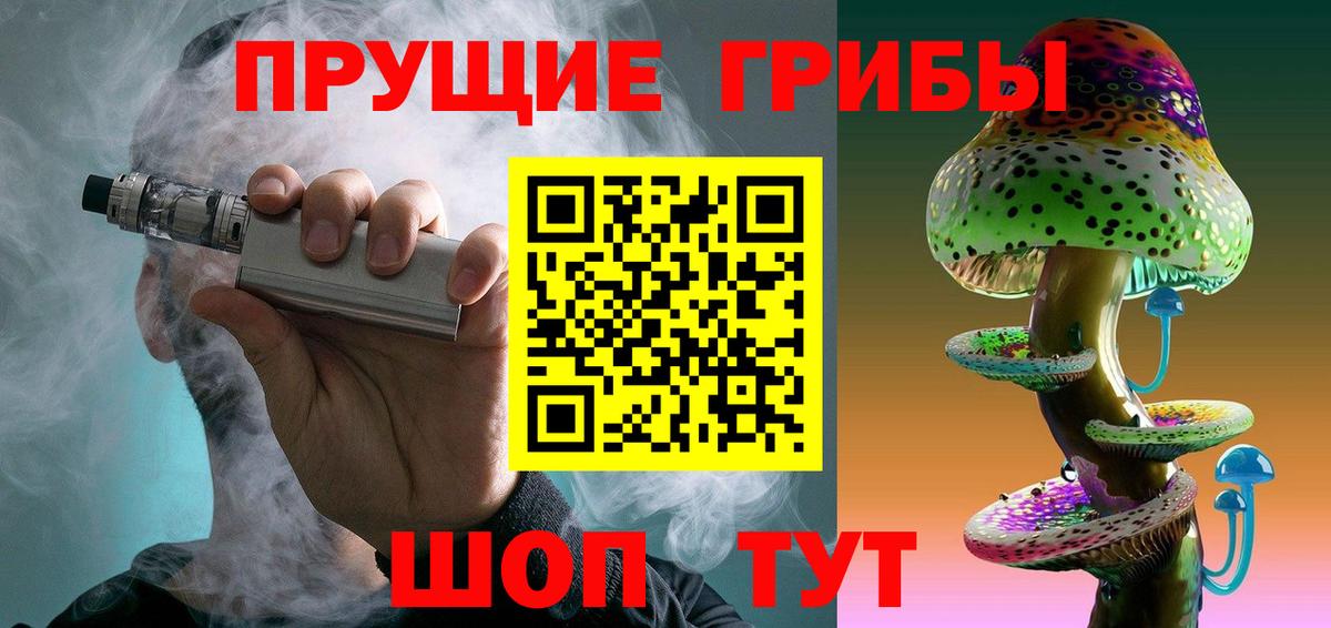 Златоуст  Псилоцибиновые грибы Magic Shrooms  Вход с VPN  Псилоцибиновые грибы Psilocybe 